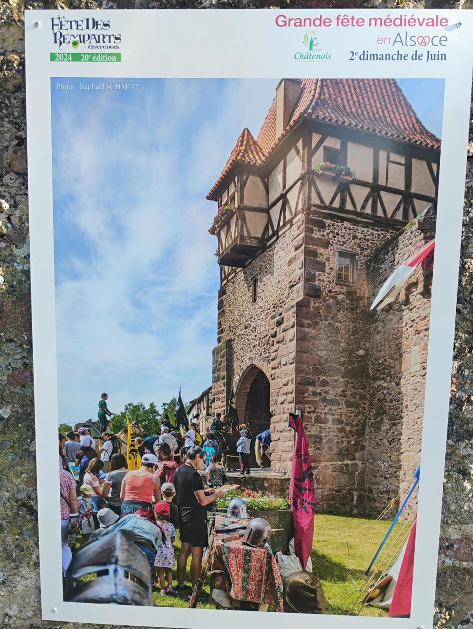 Gite Le Marronnier - Au Calme - Parking & Terrasse - Pres De Colmar Et Riquewihr - Route Des Vins Шатнуа Экстерьер фото